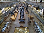 galerie de paleontologie et de anatomie comparee 12-2015 8260